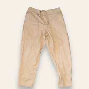 Ashley Stewart khaki pants